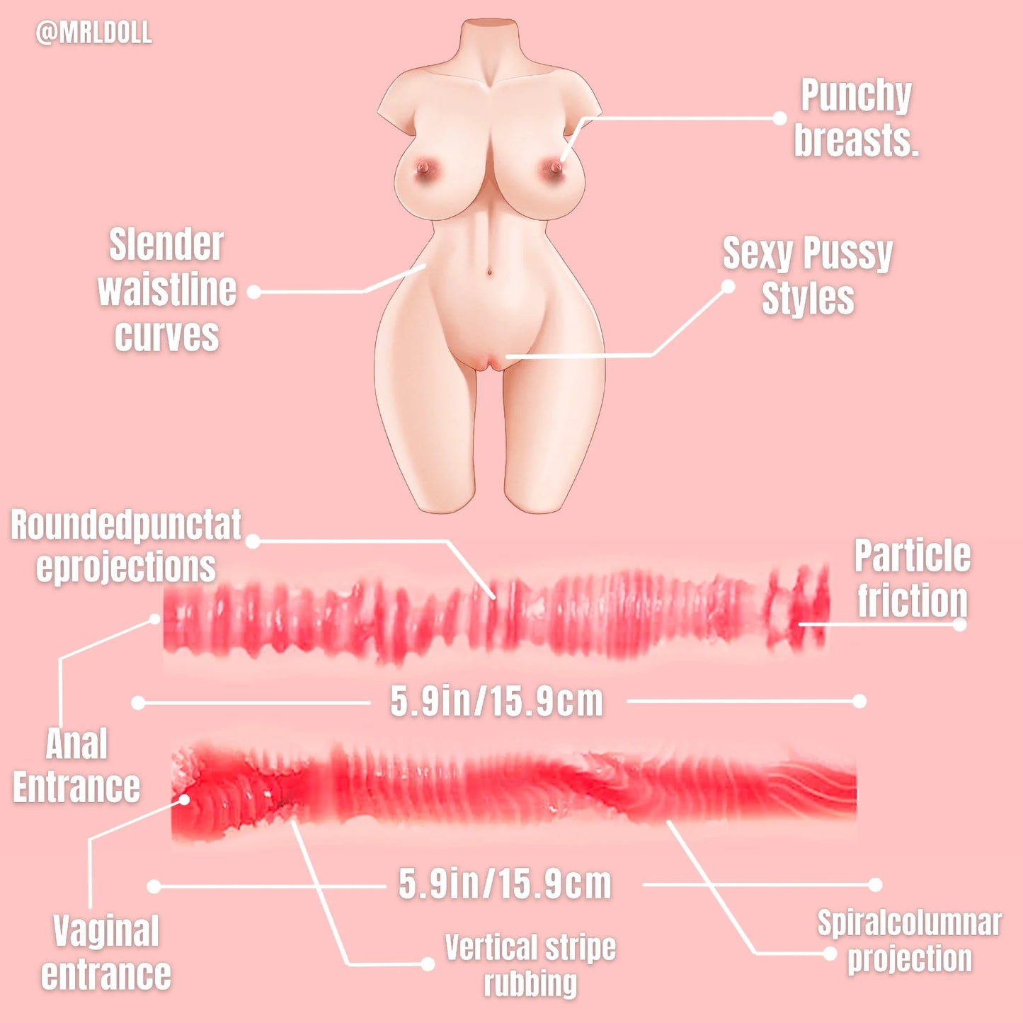 Alina:32LB Ultra Realistic Sex Doll Female Torso With Sexy Pussy MRLDOLL